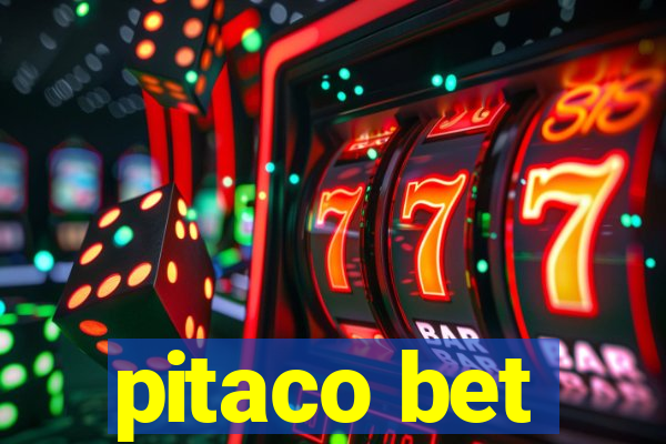 pitaco bet